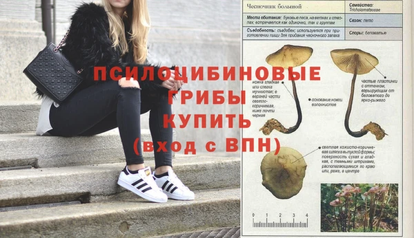a pvp Дмитров