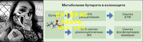 прущая мука Дмитриев