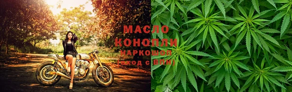 прущая мука Дмитриев