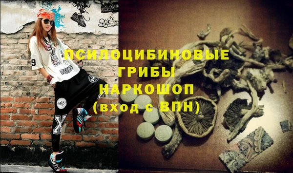 a pvp Дмитров