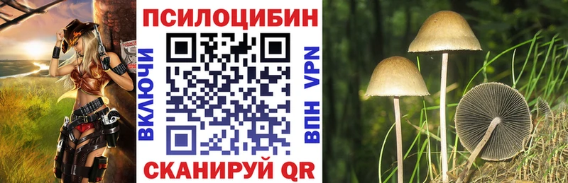 Галлюциногенные грибы мицелий где можно купить Магас